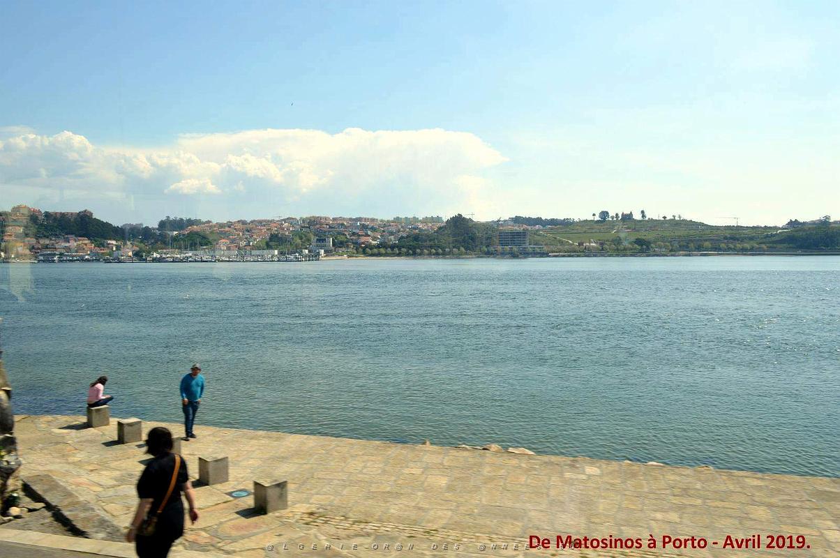 0820 - De Matosinhos a Porto.JPG